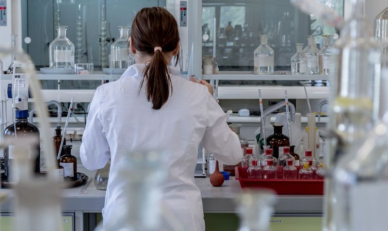 Formation – Phylogénie moléculaire – cycle 2