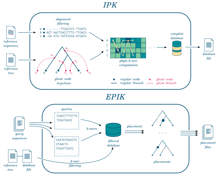 The workflow combining IPK, to precompute the index, and then EPIK, to perform the placement of the reads.