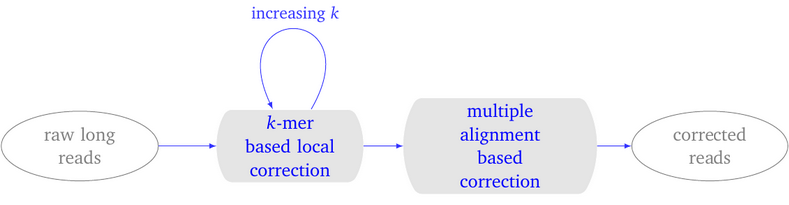 LoRMA: a self correction program for long reads